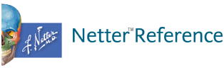 Netter Reference